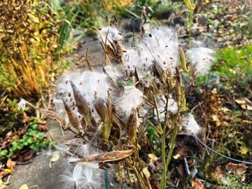 Wie Daunen zum Reinlegen! Wie Daunen zum Reinlegen!
